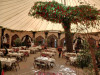 20260803_115530-Grandi
