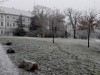 20241231_110029-Grandi