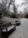 20241231_113914-Grandi