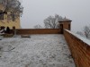 20241231_115414-Grandi
