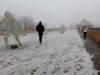 20241231_115929-Grandi