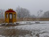 20241231_120231-Grandi