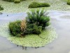 Riserve Naturali che circondano la laguna di Grado