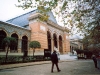 scansione0001_1