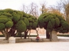 scansione0016