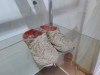20250807_0932360-Grandi