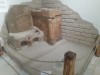 20250809_114227-Grandi