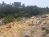 20250809_144847-Grandi